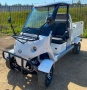 Гольфкар GreenCamel A2C (2+Cargo 2500W 225/40-10' литые)
