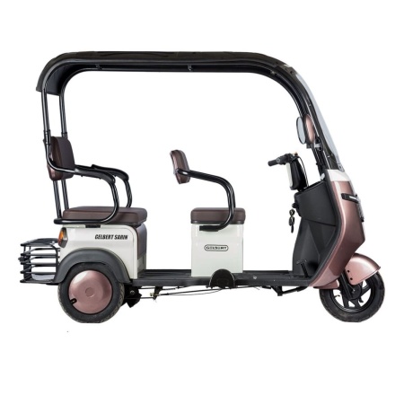Электротрицикл Rutrike Gelbert Sarin 48V/60V 1000Вт (Коричнево-белый-3054)