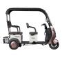 Электротрицикл Rutrike Gelbert Sarin 48V/60V 1000Вт (Коричнево-белый-3054)