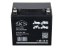 Аккумулятор стартерный для мототехники SKN YTX14L-BS (12V/12Ah/200А) [CT1214, YB14L-A2]