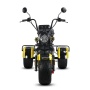 Электротрицикл Citycoco Siberton PRO TRIKE Max 3950W 12"