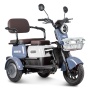 Электротрицикл Rutrike Gelbert Sun 48V/60V 650Вт (Фиолетово-белый-3060)