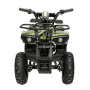 Квадроцикл GreenCamel Гоби K32 (36V 1000W R6 Цепь, ножной тормоз) Зеленый экстрим