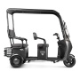 Электротрицикл Rutrike Gelbert Bos 48V/60V 800Вт (Черный-3033)