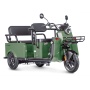 Электротрицикл Wanshida LC-F200 60V 1000Вт (Зеленый-3081)