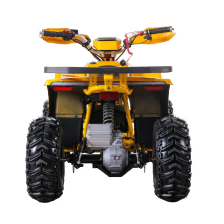 Квадроцикл GreenCamel Гоби K90 (48V 750W R7 Дифф, TaoTao app LUX) Желтый