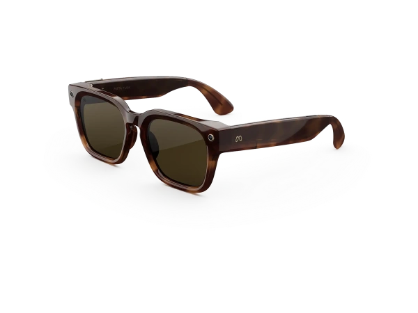 Умные очки Meta Glasses Fury Mahogany / Green