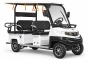 Гольфкар мини Rutrike Venus 60V 1500Вт (Белый-3333)