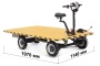Платформенная тележка электрическая Rutrike СКЛАД 2000