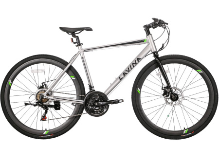 Велосипед TechTeam Lavina 28"х20" 2021 Grey