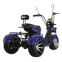 Электротрицикл Ikingi M13 Pro Trike Синий