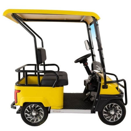 Гольфкар GreenCamel A2 ECO (2 seats 800W R8, пониженная) Желтый