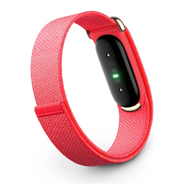 Фитнес трекер Google Fitbit Air Berry
