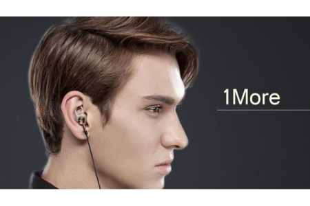Стерео-наушники 1MORE EO320 Single Driver In-Ear EarPods Headphones (золотой)