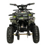 Квадроцикл GreenCamel Гоби K32 (36V 1000W R6 Цепь, ножной тормоз) Зеленый экстрим