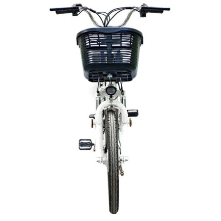 Электровелосипед GreenCamel Транк-20 V2 (R20 250W10Ah, Алюм, редукторный)