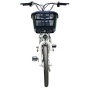 Электровелосипед GreenCamel Транк-20 V2 (R20 250W10Ah, Алюм, редукторный)