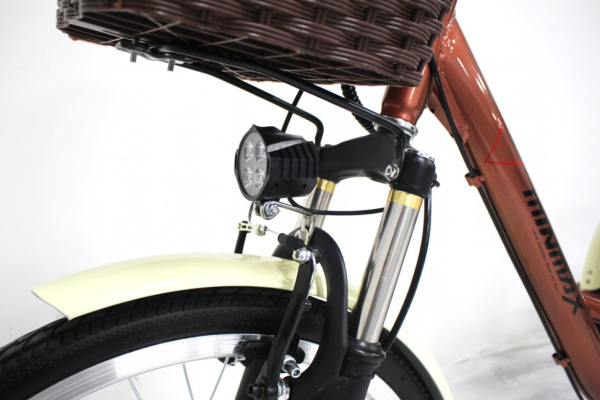 Электровелосипед GreenCamel Трайк-24 (R24 500W 48V 15Ah) (Красный)