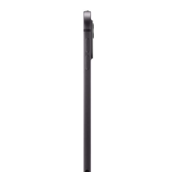 Apple iPad Pro 11" (M4, 2024) Wi-Fi 256Gb Space Black, «черный космос»