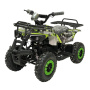 Квадроцикл GreenCamel Гоби K32 (36V 1000W R6 Цепь, ножной тормоз) Зеленый экстрим