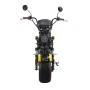 Электроскутер Citycoco Siberton Pro Max 3950W 12"