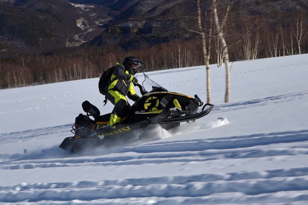 Электроснегоход ELIQ Тикси 72V