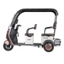 Электротрицикл Rutrike Gelbert Sarin 48V/60V 1000Вт (Коричнево-белый-3054)