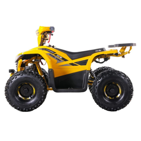 Квадроцикл GreenCamel Гоби K90 (48V 750W R7 Дифф, TaoTao app LUX) Желтый