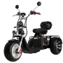 Электротрицикл Ikingi X12 Pro Trike (M12 Pro Trike) (Черный)