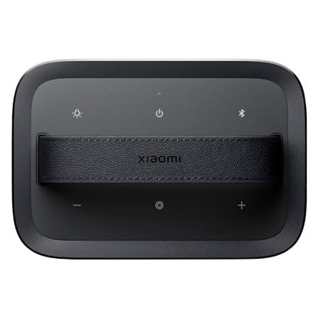 Беспроводная колонка Xiaomi Outdoor Bluetooth Speaker Camp ASM06A