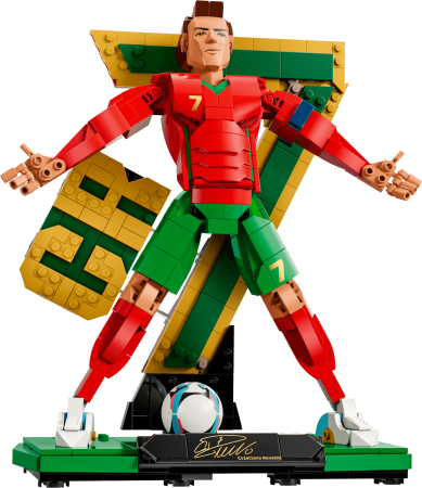 LEGO 43016